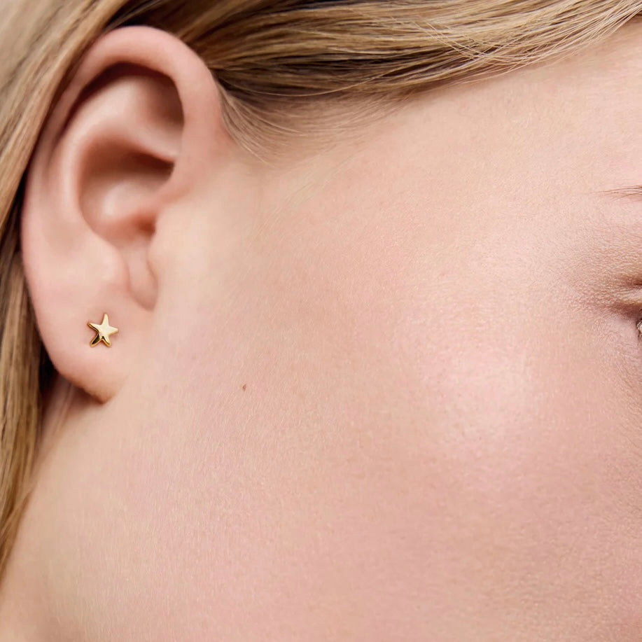 orecchini a lobo stellamarina dorati in argento 925